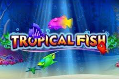 Tropical Fish Slot